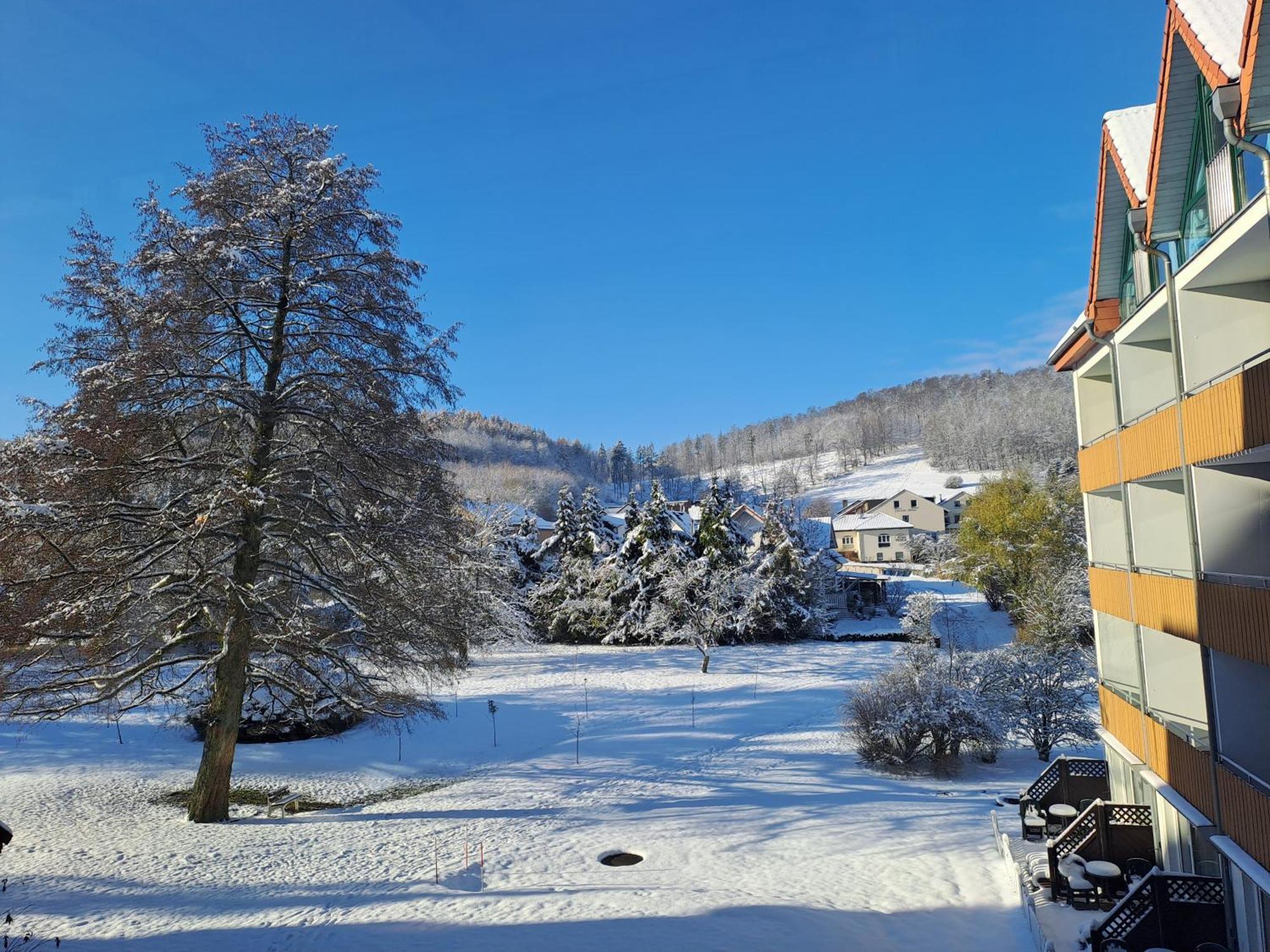 Waldhotel Baerenstein Horn-Bad Meinberg Luaran gambar